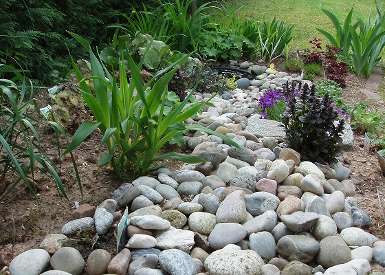 Steine als Gestaltungselemente deuten in Pflanzungen Gewässer an.