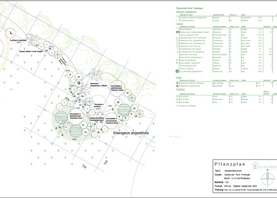 Pflegeleichte Staudenpflanzungen in Wellenform bringen Bewegung in den Gartenraum.